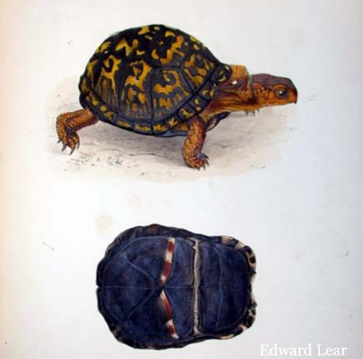 When everyone else seems fine but you’re stuck in place